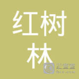 聂志强与三顺网络 从技术传奇到行业变革者的进阶之路