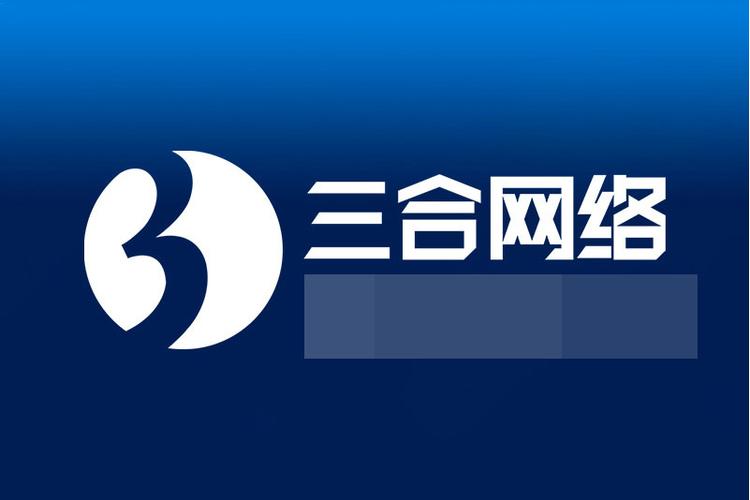 三合网络与三顺网络 应用程序开发定制的双引擎对比与选择指南